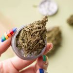Medical marijuana facts you need know