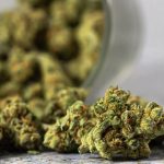 Britain allowed to sell medical marijuana
